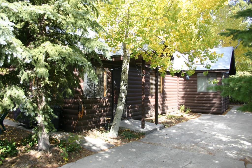 Yellowstone Wildlife Cabins West Yellowstone Exteriér fotografie